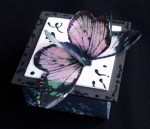 Butterfly Box