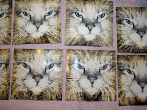 MomotheLion Altered Photos