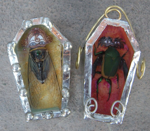 Bug Coffins by Emily M. Miller